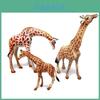 Wildlife Pvc Static Animal Figures Giraffe Family For Home Decor And Educational Use