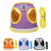 Pet Chest Strap, Vest Type Dog Leash, Reflective Breathable Mesh, Cat and Dog Universal Cat Leash