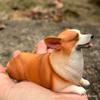 Cute Miniature Animal Model of Solid Welsh Corgi Dog with Short Legs, Lifelike Corgi Figurine for Home Decoration