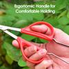 Stainless Grape Scissors 2-in-1 Scissors Tweezers For Grape Sturdy Picker Scissors And Tweezers For Garden Fruits And Grapes