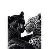 Pantera Negra Tigre Branco Leopardo Arte Pintura em Tela Impressão de Poster Vintage Parede Decoração Moderna Casa Sala de Estar Quarto Cozinha