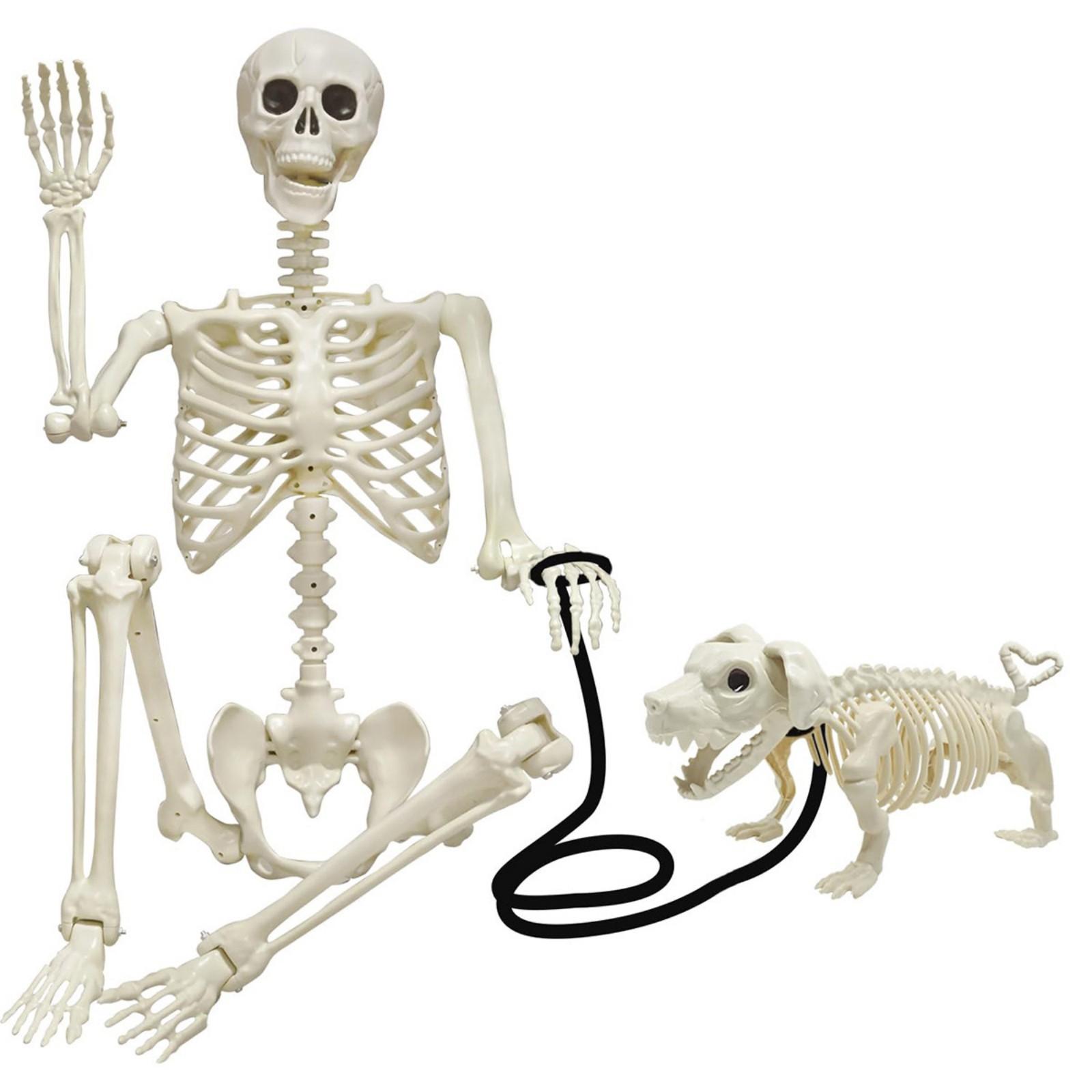 

Скелет собаки Скелет человека Ужасная сцена для розыгрыша Комната в доме с привидениями Реквизит для украшения One Size