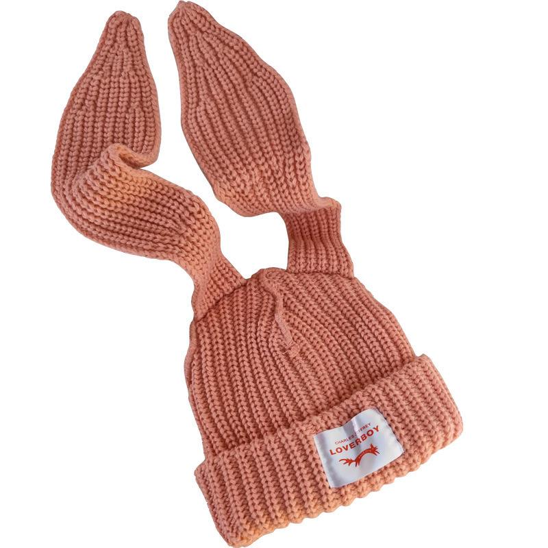 Trendy Brand Design Niche Personalized Rabbit Ears Wool Hat Women's Autumn and Winter Warm Ear Protection Hat Knitted Hat