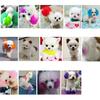 80g animal de compagnie chien chat animaux coloration des cheveux colorants teinture pigment Agent fournitures