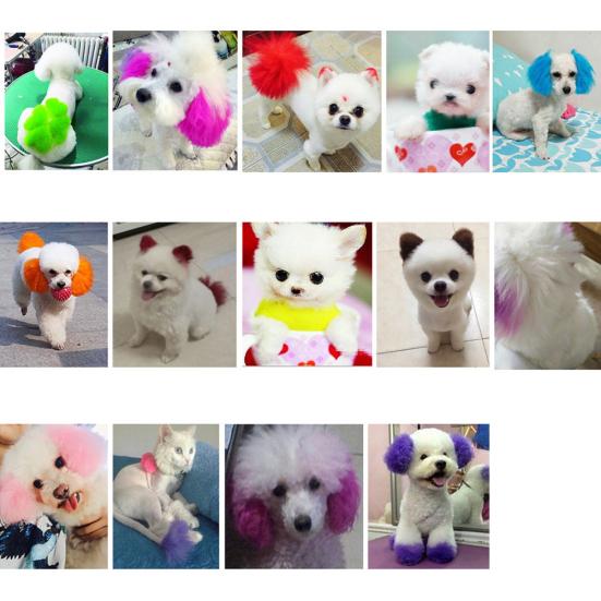 80g animal de compagnie chien chat animaux coloration des cheveux colorants teinture pigment Agent fournitures