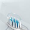Electric Toothbrush Ultrasonic Soft Bristle Waterproof Whitening Automatic Toothbrush for Adults Chi