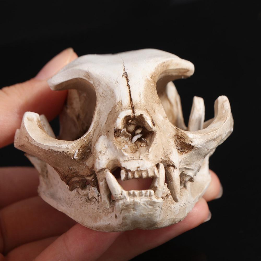 Scary Halloween Cat Skull Model Resin Artificial Skull Head Animal Skull Ornament Haunted House