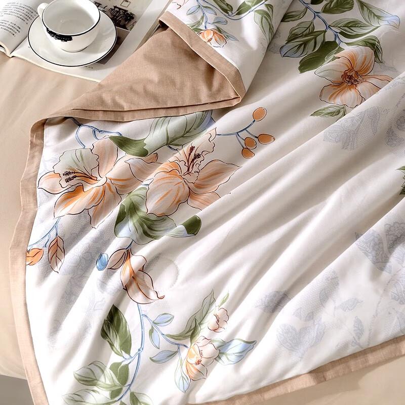 Jinsili Jiangnan Impression Cotton Cover Mulberry Silk Quilt