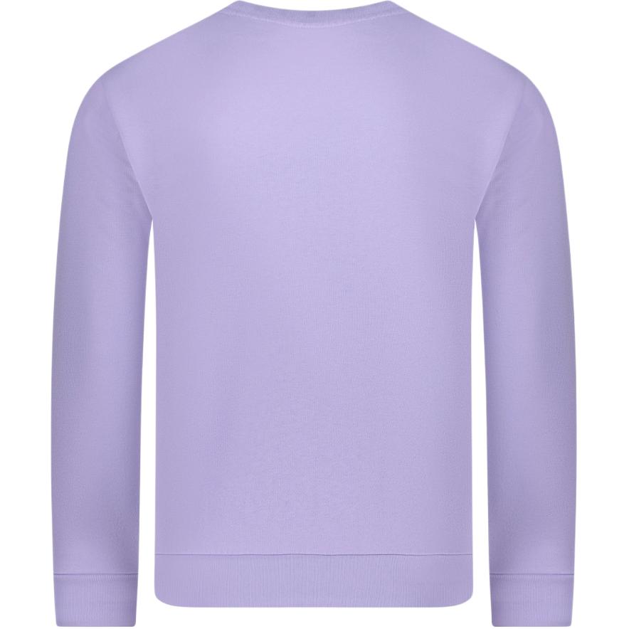 Polo Ralph Lauren Logo Embroidered Crew Neck Long Sleeve Sweatshirt Men sweatshirt Lavender 710916689-028