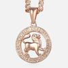 12 Zodiac Sign Constellations Pendant Necklace for Women Men 585 Rose Gold Color Necklace  Birthday Gifts