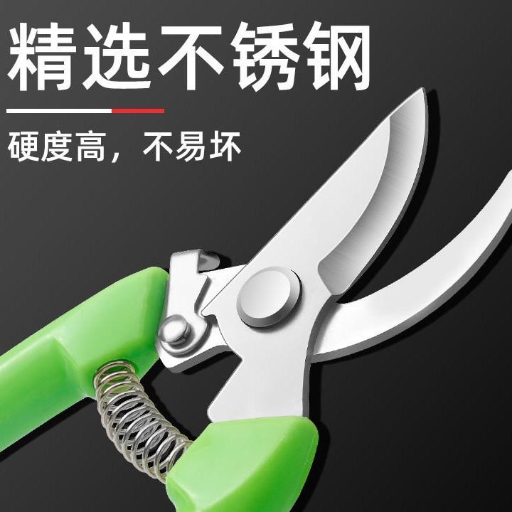 Stainless Steel Pruning Shears Garden Fruit Tree Shears Outdoor Fruit Picking Shears Gardening