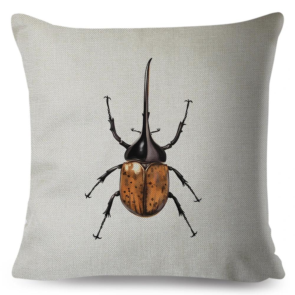

Insect Beetle Collection Pillow Case Both Sided Decor Cartoon Animal Print Cushion Cover Retro Pillowcase for Sofa Home Car 40x40cm16x16Inch
