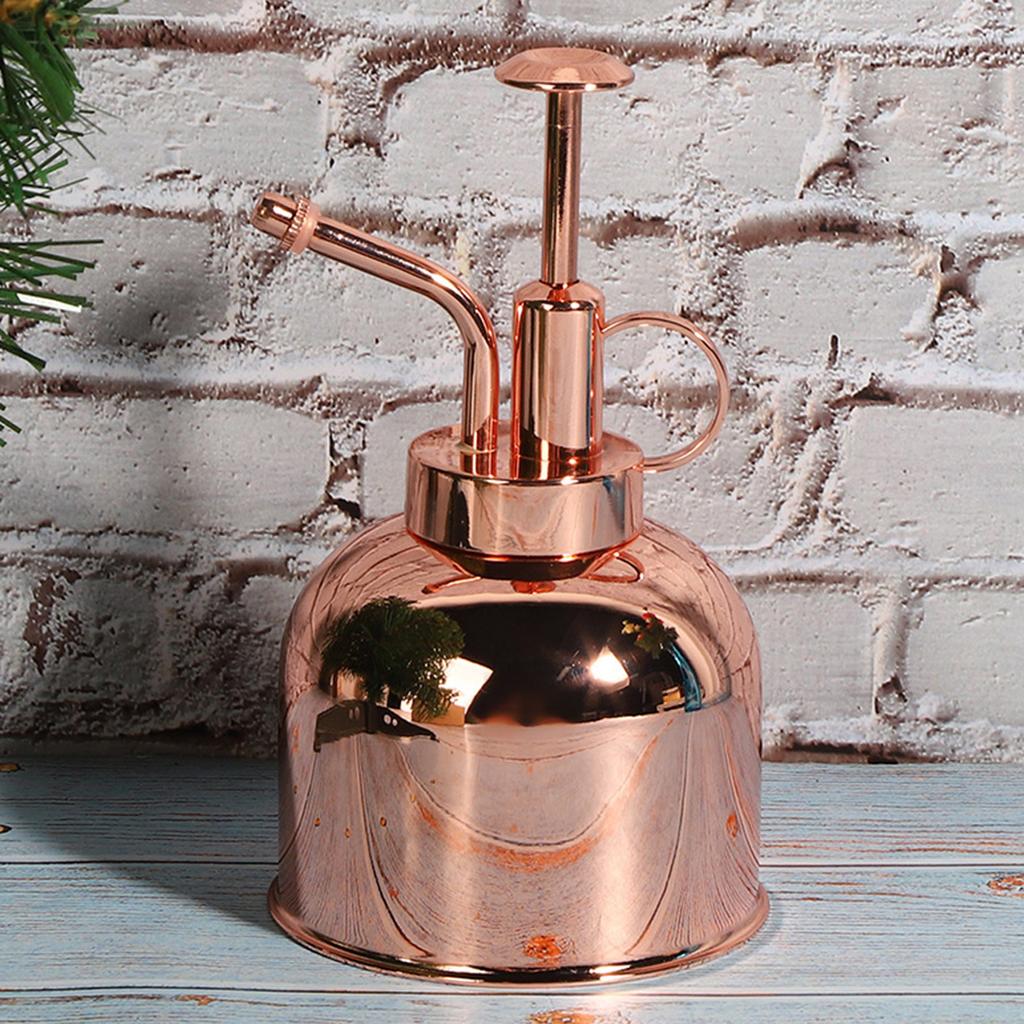 Schöne Handdruck-Gießkanne Topf Sprühflasche Zimmerpflanzen-Sprühnebel Zimmerpflanzen-Zubehör