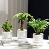 1/2Pcs Self Watering Pot with Drainage Holes Transparent Reservoir Indoor Outdoor Plants Planting Pot Herbs Succulents Flower Planter with Wick Rope