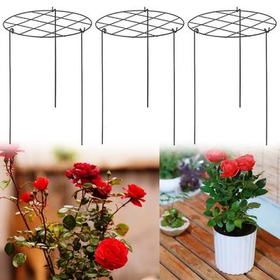 3 Pack Metal Plant Support Cage For Peonies Roses Tomatoes Hydrangeas New
