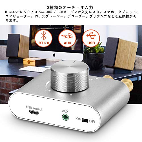 Nobsound NS-01G Pro Leistungsverstärker, Bluetooth 5.0, 100W, Verstärker, Lautsprecher, HiFi Audio, mit Netzteil (Silber)