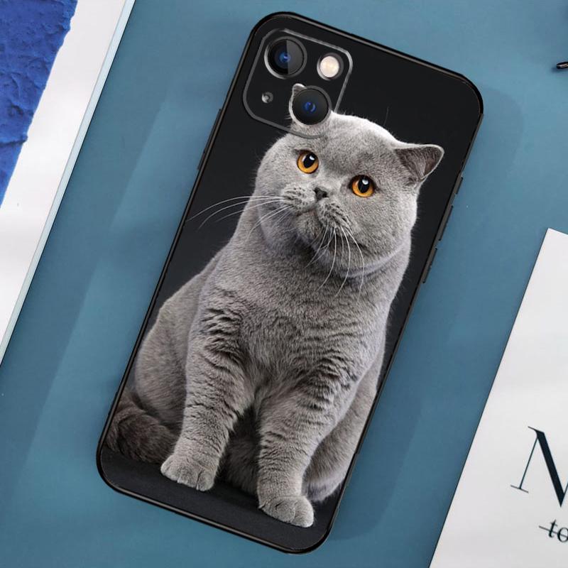 Etui z brytyjskim krótkowłosym kotem na iPhone'a 15 14 13 12 11 Pro Max XS X XR SE 2020 2022 7 8 Plus 12 13 Mini