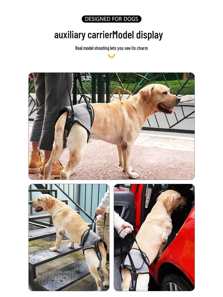 Grenzüberschreitender Reiserucksack zur Rückenstützung für ältere oder verletzte Hunde