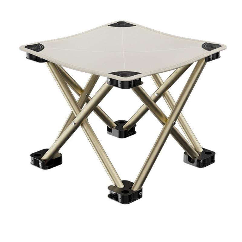Camping Stool Chair Portable Folding Stool for Outdoor Gardening and Beach Hiking Fishing Foot Stool with Carry Bag