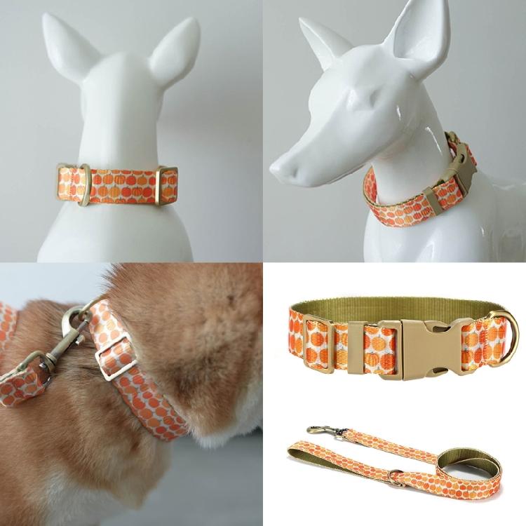 Cats Collar and Leash Set for Training Walking Belt for Large Medium Small Cats