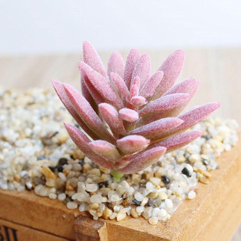Beautifully Crafted Mini Artificial Succulents For Lifelike Home Office Decor