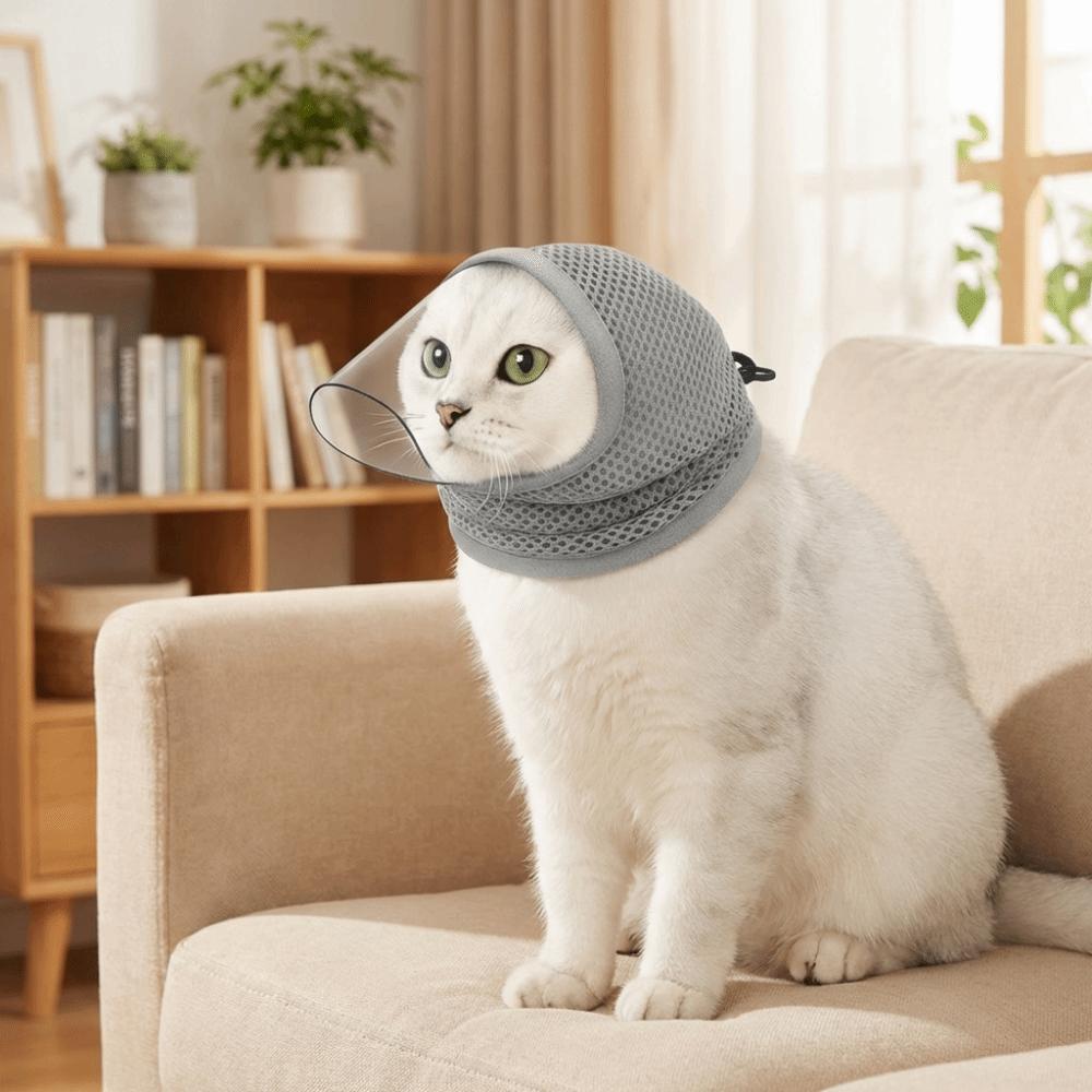 מסכה שקופה למניעת ליקוק עם שרוך מתכוונן כיסוי ראש לחתלתול הגבלת חתול