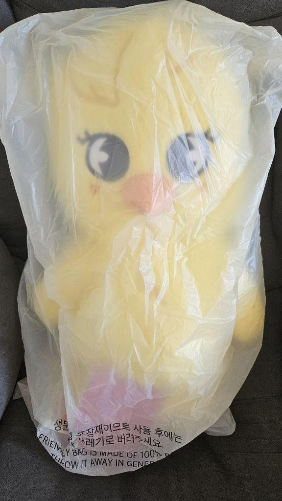 [USED] Teddy Bear Stuffed Toy Teddybear SKZOO Pogari