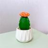 Mini Grüne Kaktusfigur Harz Sukkulente Topfpflanze Ornament Mini Bonsais Dekoration für Auto Armaturenbrett Dekorationen