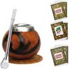 Yerba Mate Bombilla Gourd Drinking Filter Straws 304 Food-Grade Stainless Steel 6.1 inch Long Spoon Bombillas Straws for Mate Tea Set of 3 with