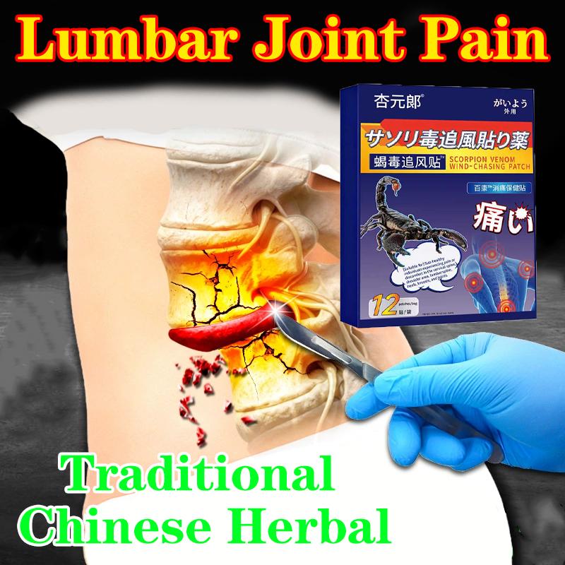 Lumbar Spine Stick Lumbar Disc Herniation Plaster