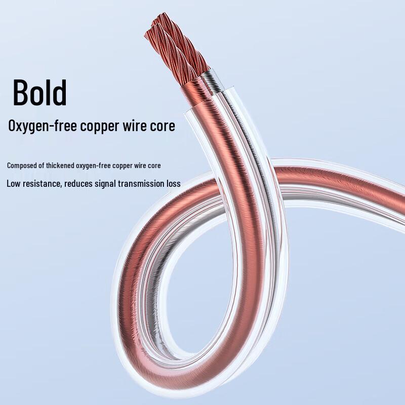 BIAZE Audiophile Pure Copper Speaker Cable
