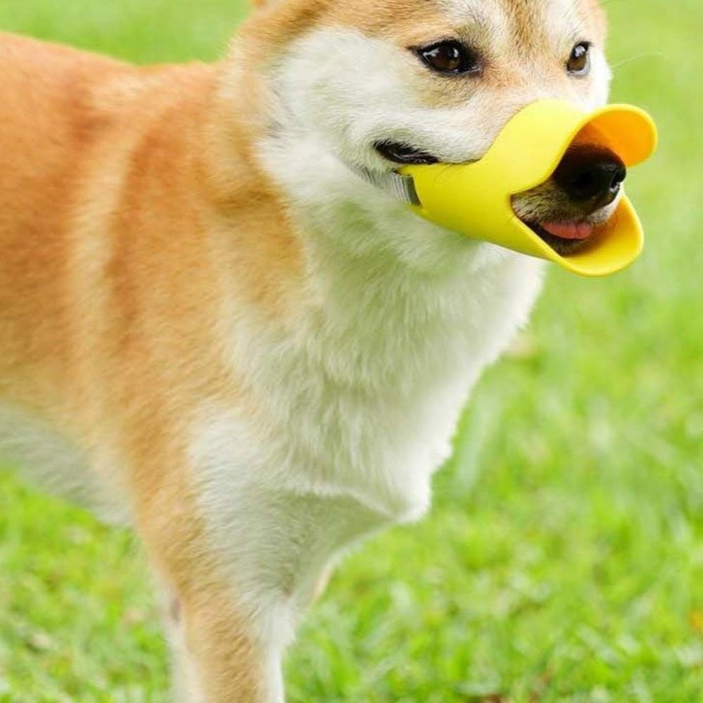 Pet duckbill cover-Yellow S code
