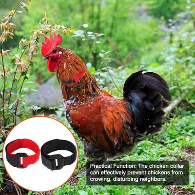 Quality Prevent Chickens from Crowing Poultry Neck No Crow Rooster Collar Chicken Collar Noise Free Neckband Collars Anti-Hook