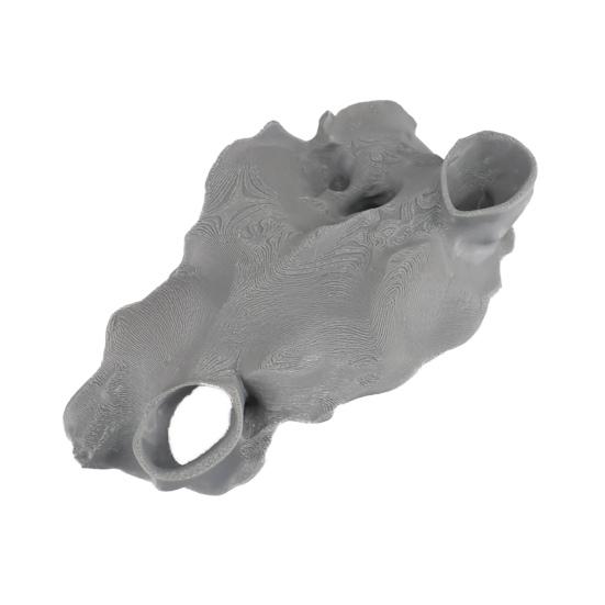 Aquarium Cave Tunnel Under Gravel Fish Hideout Fish Tank Decoration Natural Curve Hideout for Pleco Shrimp Corydoras Catfish