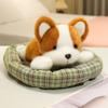Cute Cartoon Dog Plush Toy Sleeping Animal Schnauzer Corgi Golden Retriever Doll Kawaii Room Decor Funny Xmas Gift For Girls