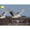 Nikon Telephoto Zoom Lens AF-S NIKKOR 80-400mm F/4.5-5.6g ED VR Full Size Compatible