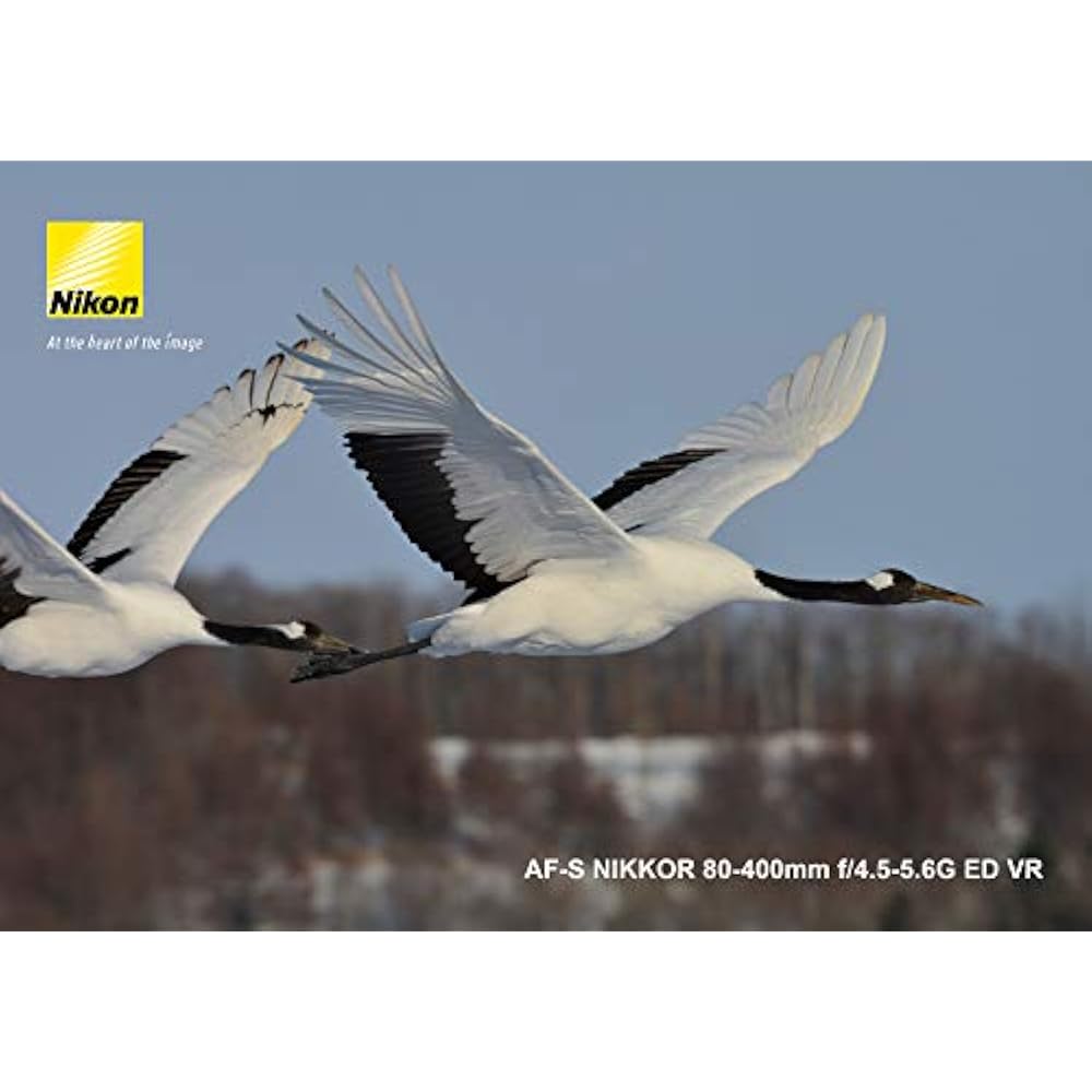 Nikon Telephoto Zoom Lens AF-S NIKKOR 80-400mm F/4.5-5.6g ED VR Full Size Compatible