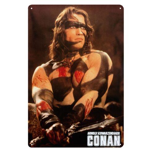 

e1Conan The Barbarian Arnold Schwarzenegger Movie Metal Poster Tin Sign 20x30cm aluminum 20x30cm