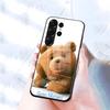 T-Ted B-Bear Phone Case For Samsung S26 S25 S24 FE S23 S22 S21 Plus S20 Ultra Note20Ultra Black Glass Cover