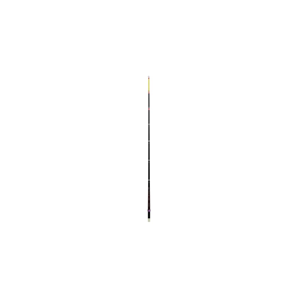 Shimano Lake Master SH L00R Expert Wakasagi Rod Sensitive Tip 2.1m Fishing Rod