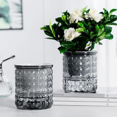 Selbstbewässernder Blumentopf Aquarium Transparente Plastik Pflanztöpfe Mini Selbstbewässernder Pflanztopf Vase Für Heimdekoration