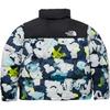The North Face 1996 Down Jacket Unisex Multicolor NF0A3C8D-IAW