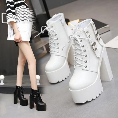 Women's Goth Platform Boots Sexy Round Toe Block Heeled Shoes Buckle Strap Ankle Boots for Women Punk Style