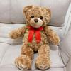 [USED] Teddy Bear Plush Toy
