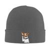 New Jack Russell Terrier Dog Funny Warm Knitted Cap Fashion Bonnet Hat Autumn Winter Outdoor Beanies Hats for Unisex Adult