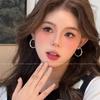 Women's High-End Plain Hoop Earrings: Light Luxury Ear Drops & Studs, Niche Design for Autumn/Winter.