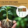 Plant cultivation coconut fiber brick Reusable Natural Bricks Gardening Accessory for Hydroponics Gardening Accessories