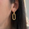 Twisted Spiral Stainless Steel Earrings Stainless Steel Drop Dangle Earrings  For Women