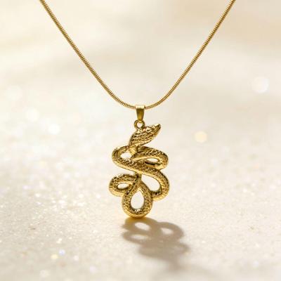 Unisex Retro Snake Stainless Steel Pendant - Non-fading Punk Style Jewelry