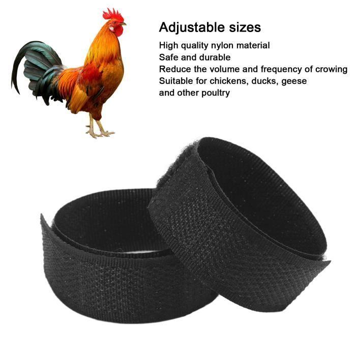 Pinellia- tour de cou de poulet Paquet de 2 colliers de poulet anti-crochets en nylon sans bruit ceinture de cou de poulet pour coqs